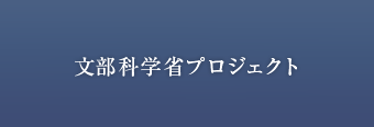 経営管理研究科が行なっている国費プロジェクト