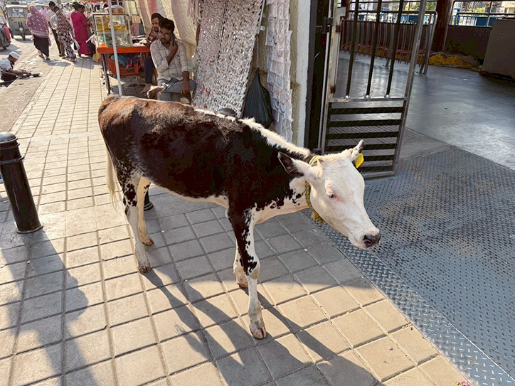 市内の様子の一部